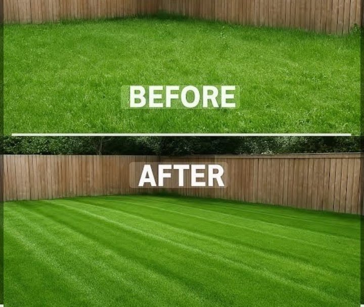 Lawn mowing and bush trimming service